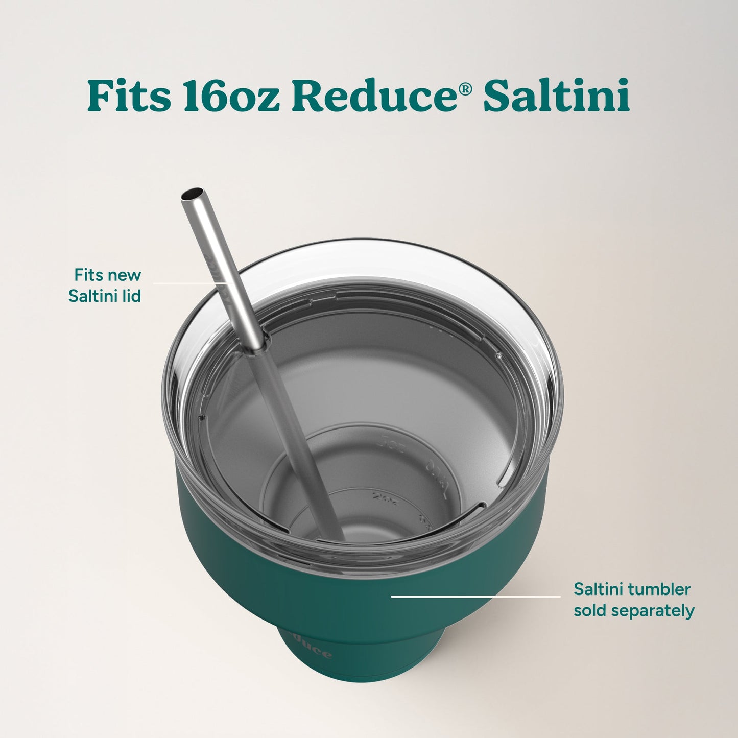 saltini-straw-set-l5 4PK_SaltiniStraws_SS-4.jpg