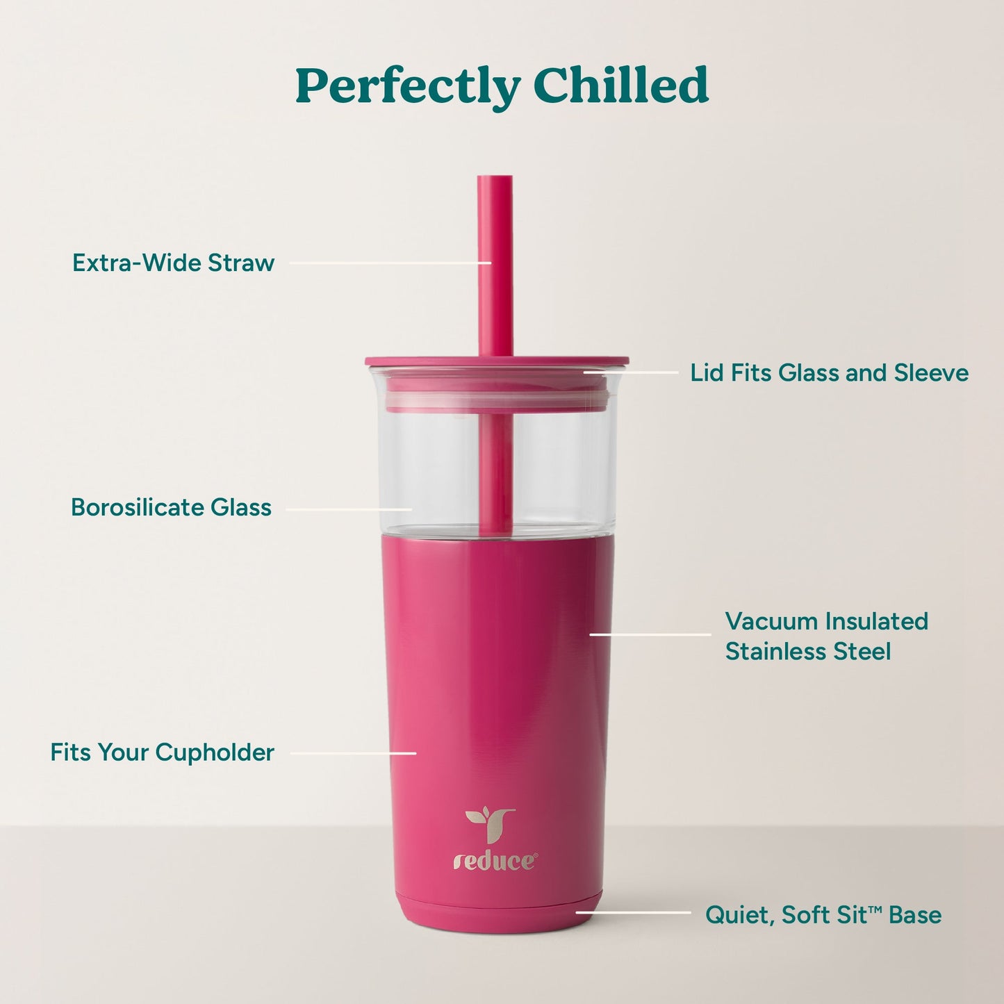 aspen-20-oz-l0 Aspen_Dragonfruit_PDP_Infographic2.jpg