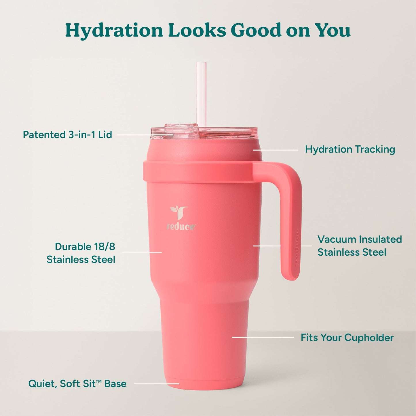 cold1-40-oz-u5 Cold1_40oz_Daiquiri_Infographic_2.jpg
