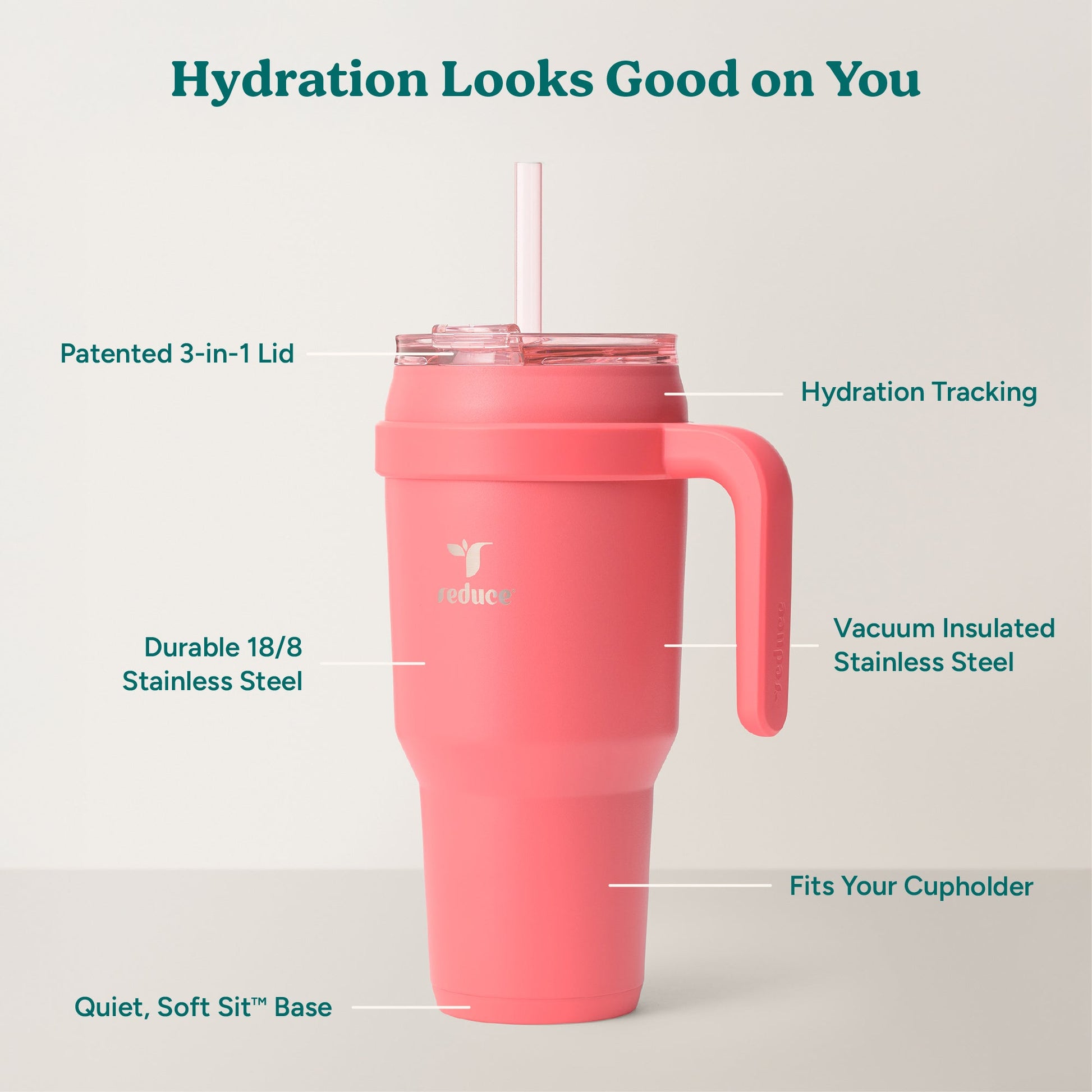 cold1-40-oz-u5 Cold1_40oz_Daiquiri_Infographic_2.jpg