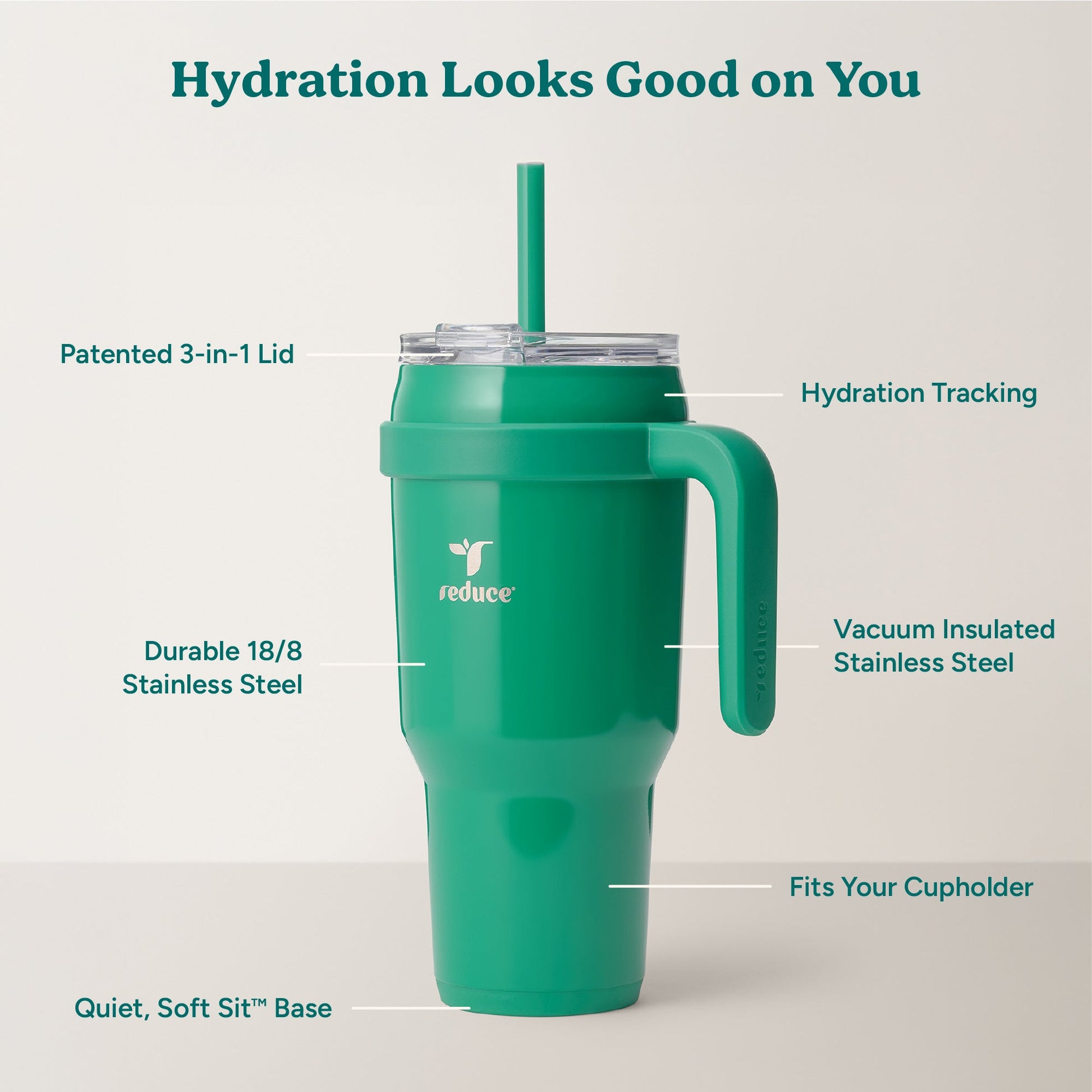 cold1-40-oz-u5 Cold1_40oz_PalmLeaf_Infographic_2.jpg