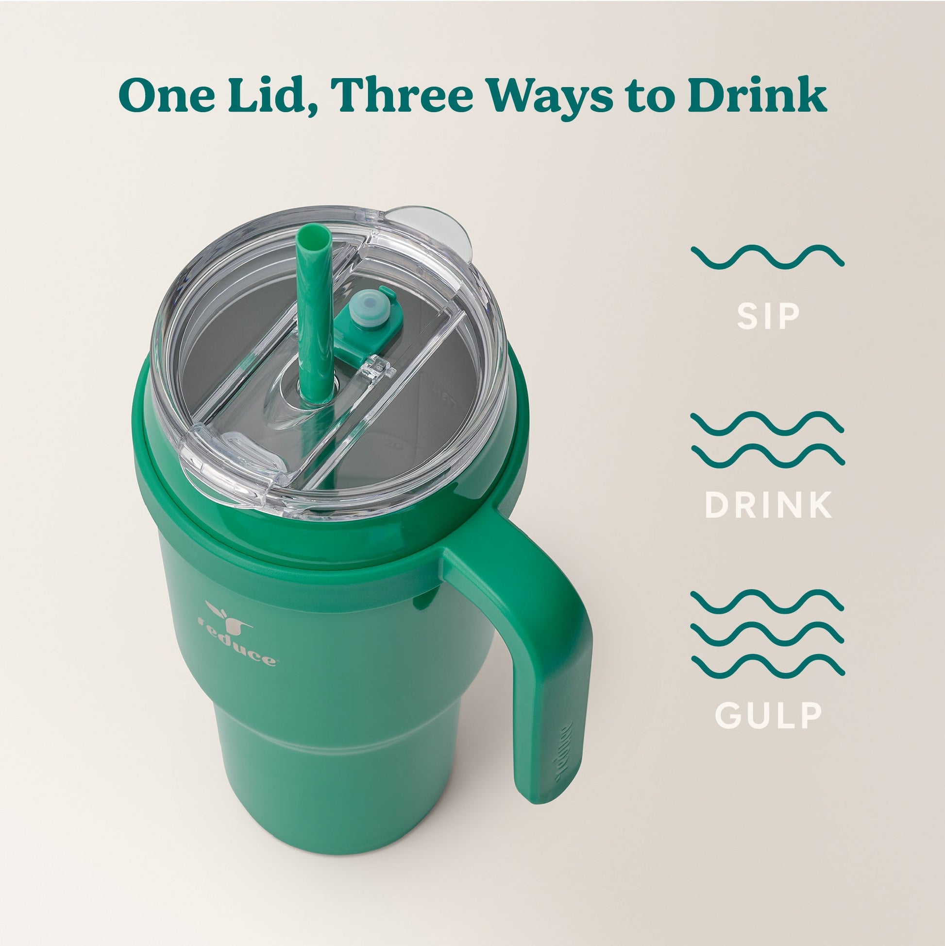 cold1-40-oz-u5 Cold1_40oz_PalmLeaf_Infographic_3.jpg