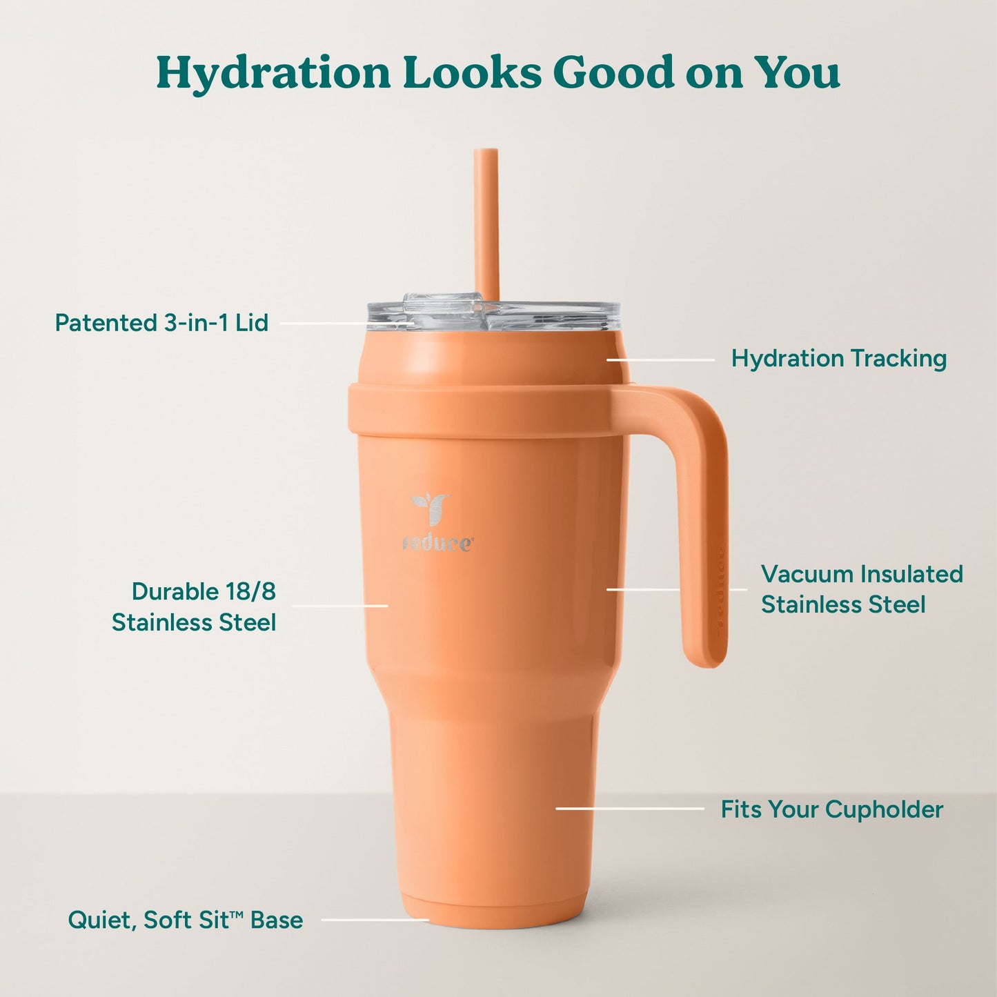 cold1-40-oz-u5 Cold1_40oz_Papaya_Infographic_2.jpg