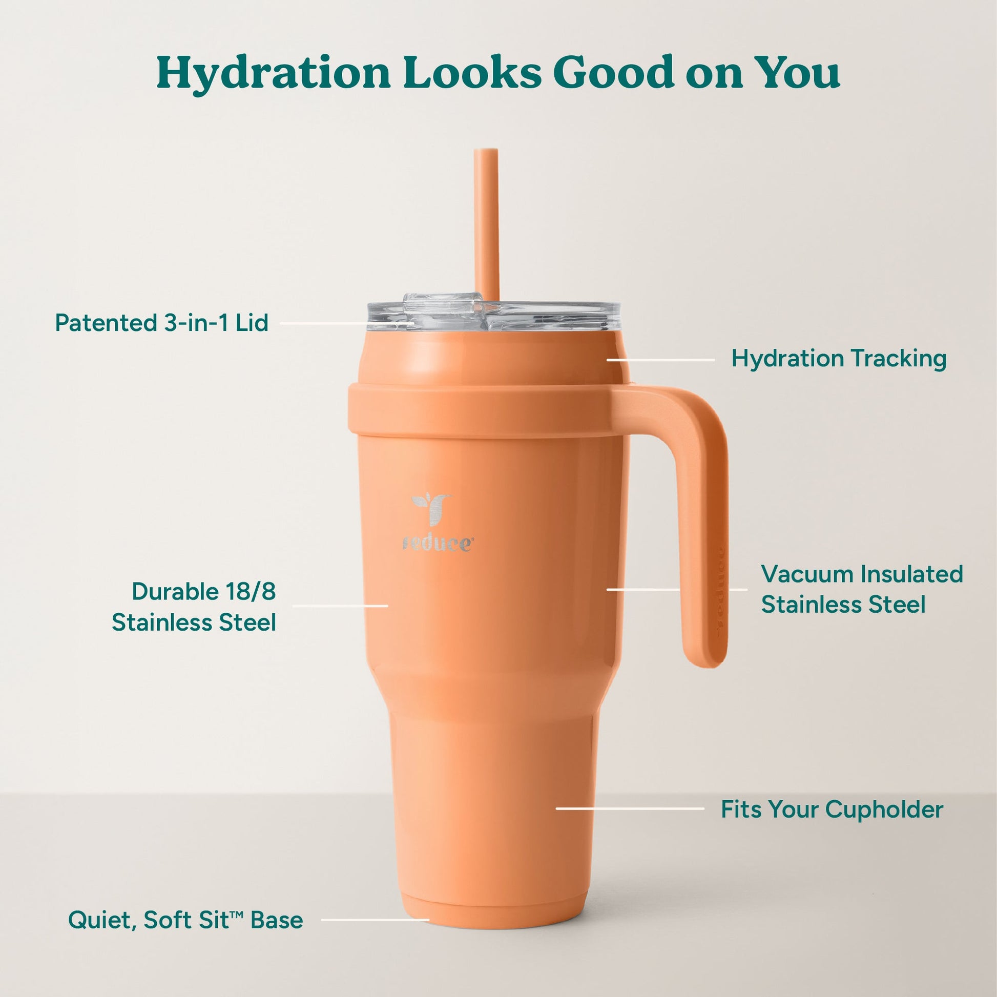 cold1-40-oz-u5 Cold1_40oz_Papaya_Infographic_2.jpg