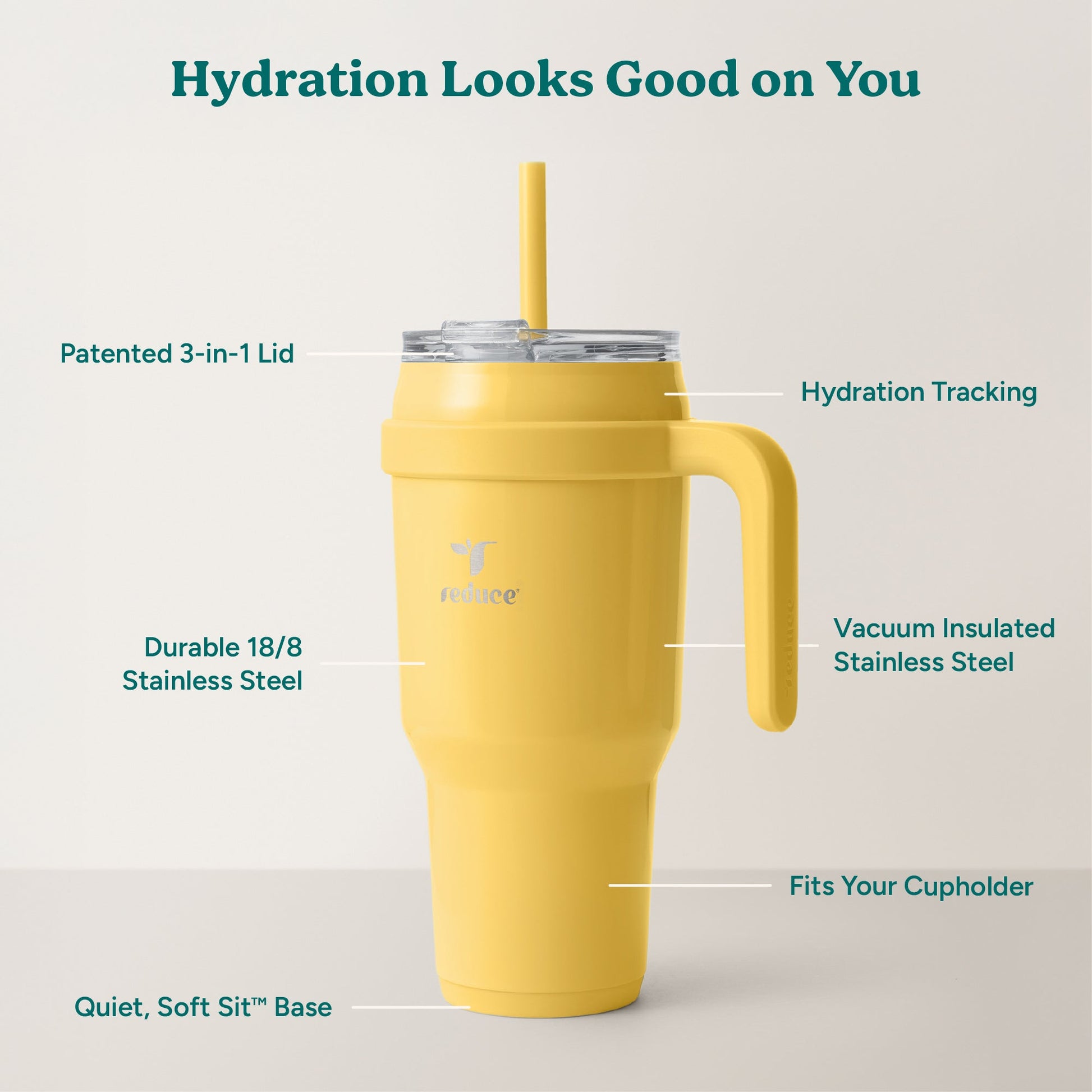 cold1-40-oz-u5 Cold1_40oz_Pineapple_Infographic_2.jpg